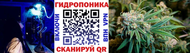 МАРИХУАНА OG Kush маркетплейс Telegram Благодарный